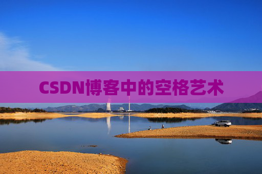 CSDN博客中的空格艺术